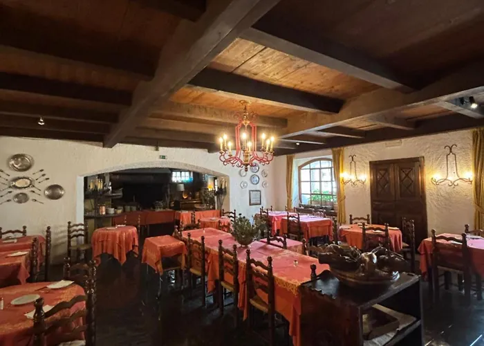 Del Viale 库马约尔